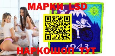шишки Кингисепп