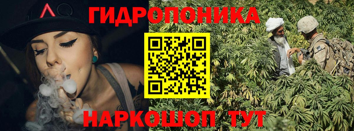 Шишки марихуана Amnesia  Вход с VPN  Каннабис план  Ярцево  Канабис White Widow  МАРИХУАНА гибрид 